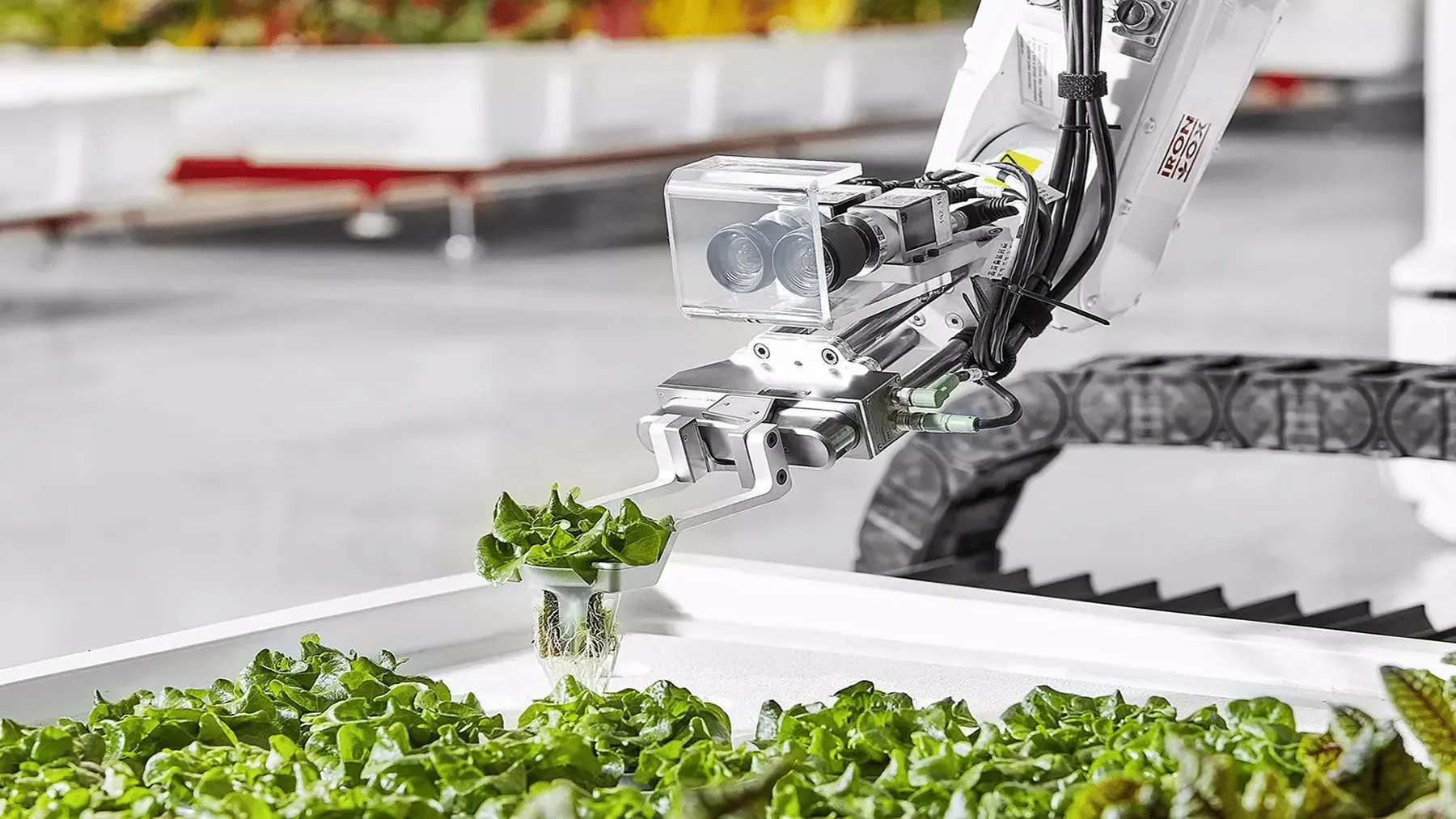 新产品研发成功